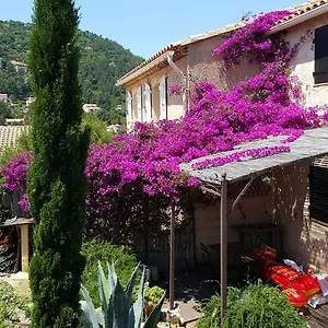 Le Mas Du Pic Des Fées , Hyères France